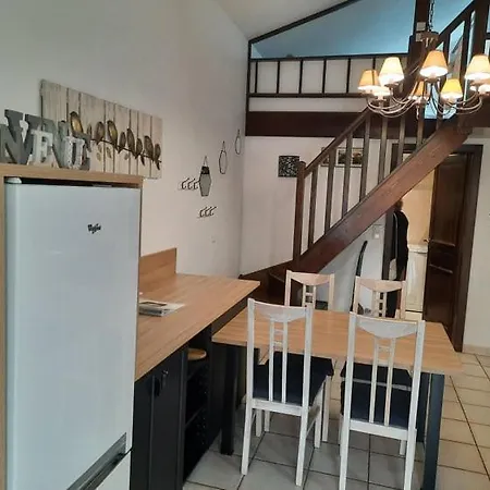 Oasis D'alsace Tatil Evi