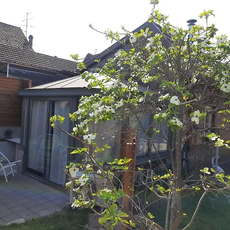 Tatil Evi Oasis D'alsace