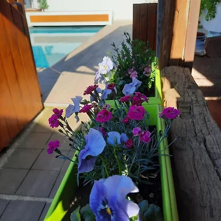 Oasis D'alsace Semesterbostad *