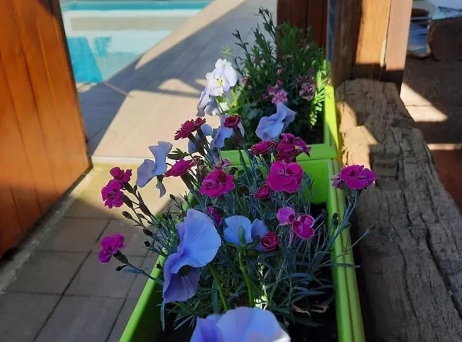 Oasis D'alsace Ferienhaus *